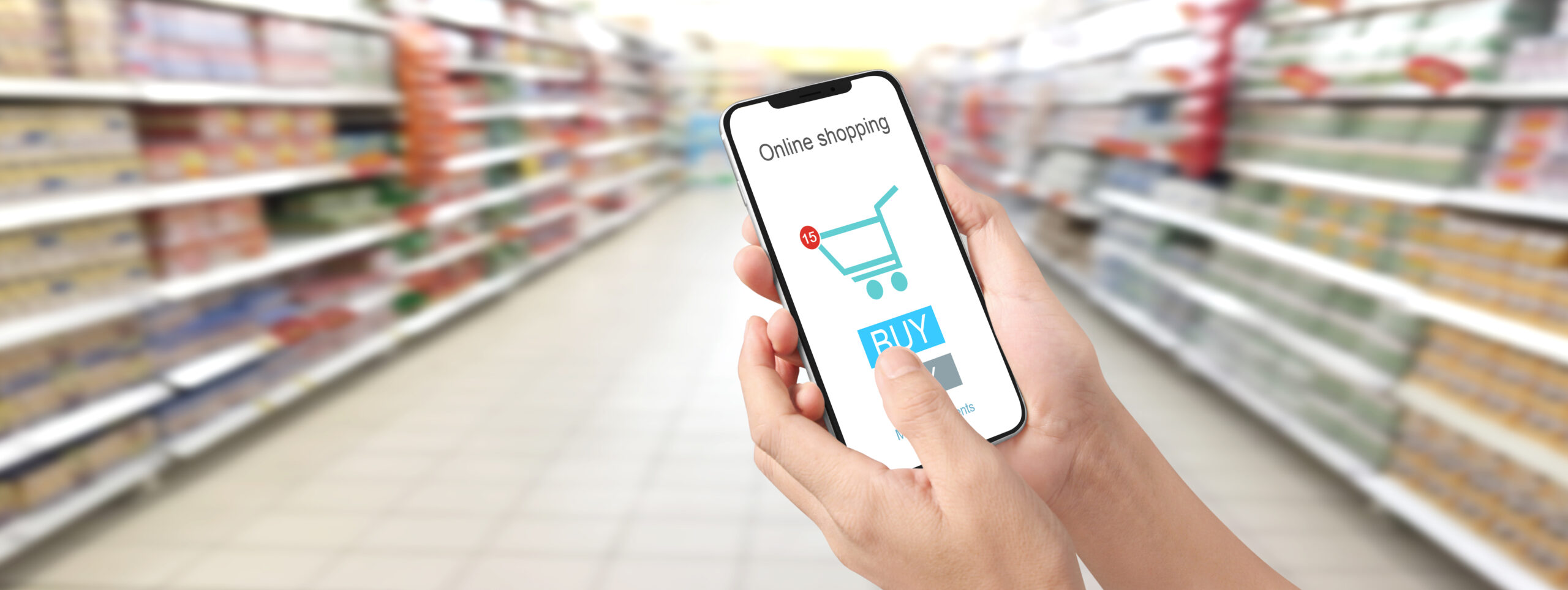 web development company in chennai