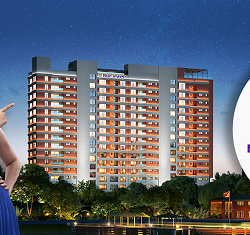 Website Design and Web Development agencies in chennai